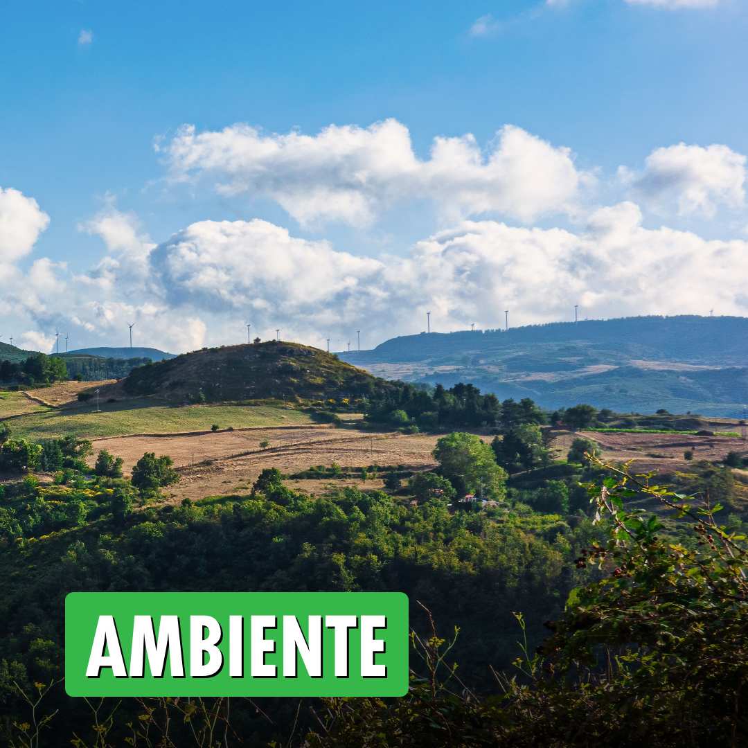 Ambiente